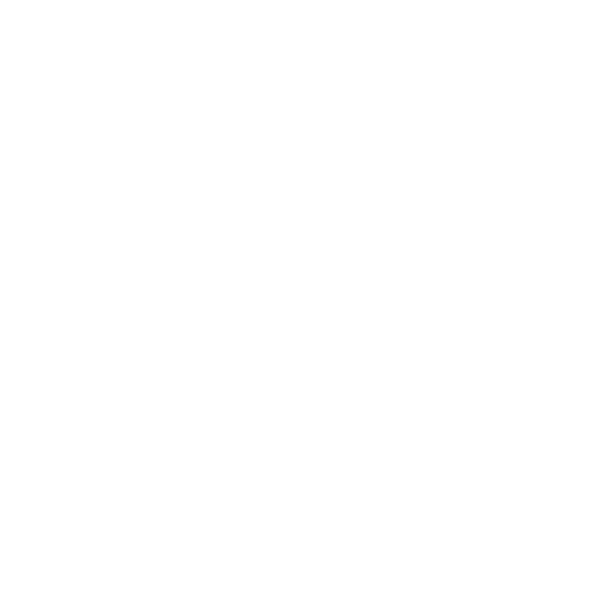 monnaie euro